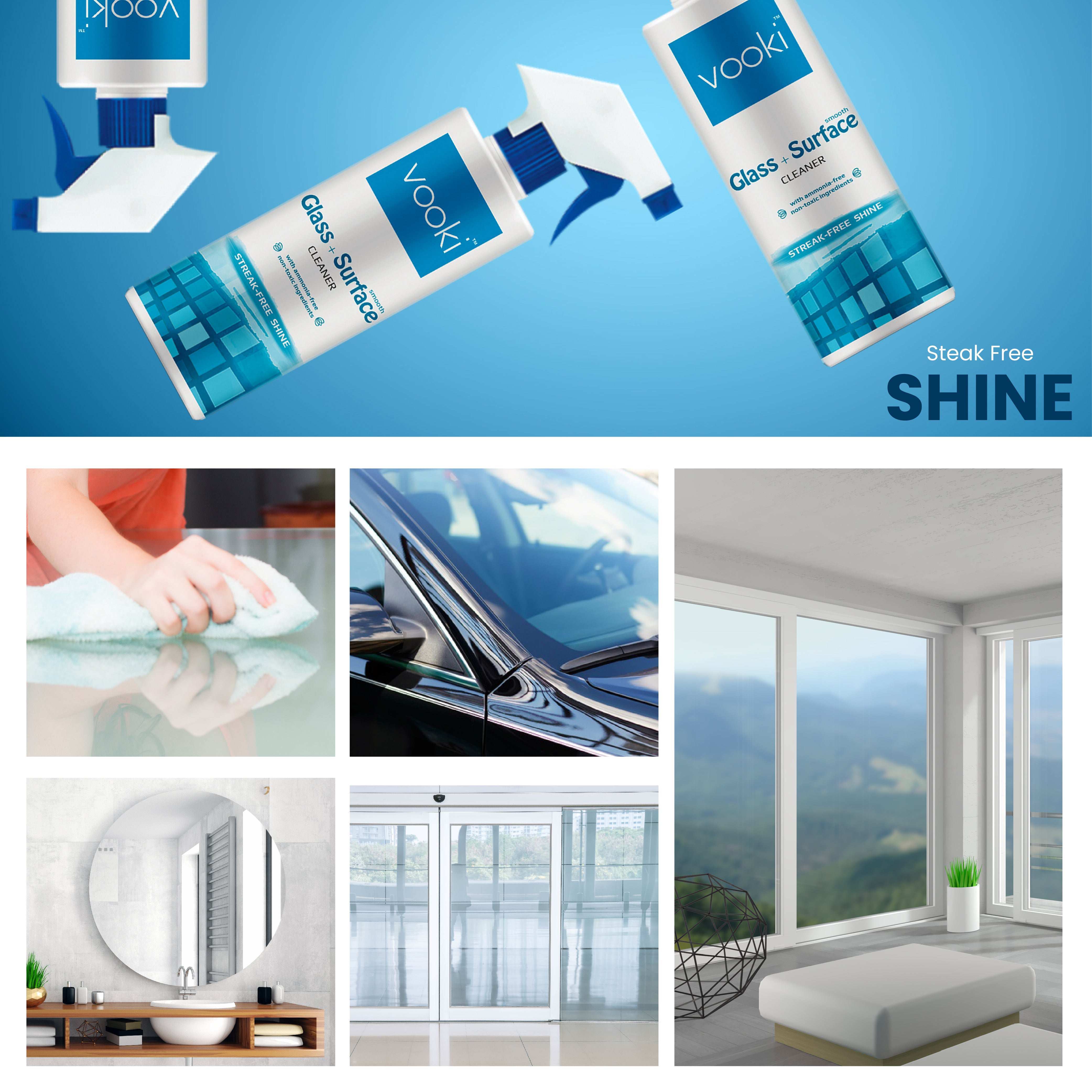 Glass + Smooth Surface & Toilet + Floor Surface Cleaner | Home Hygiene Combo