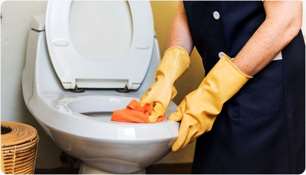 Things to know before choosing your Toilet Bowl Cleaner