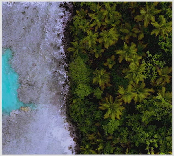 A cover page image of a sustainability video